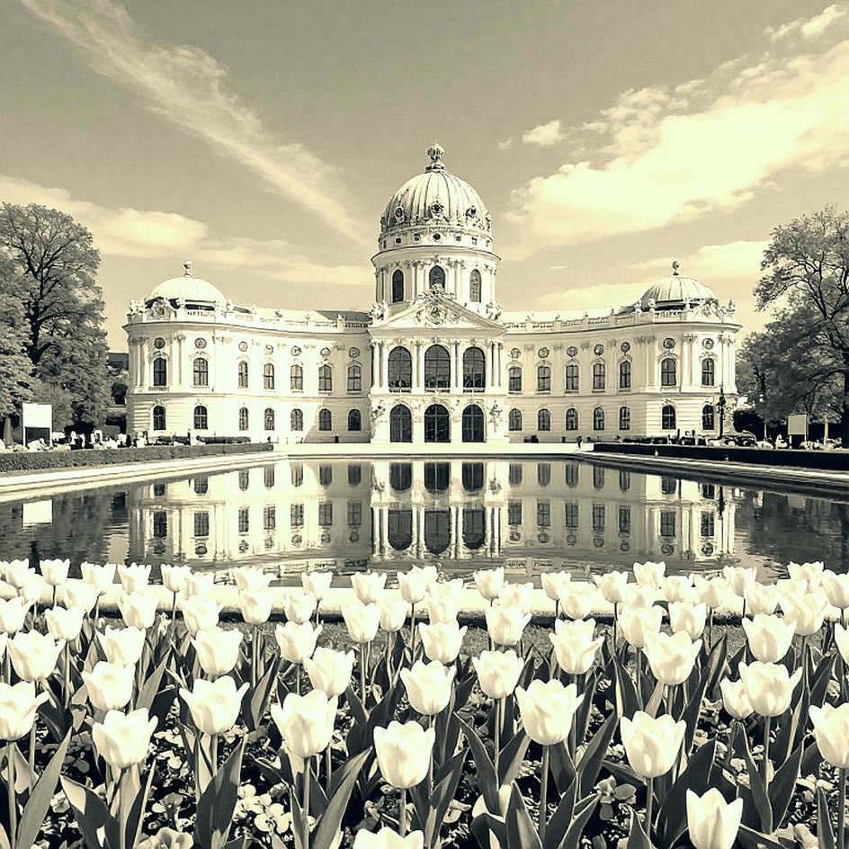 Châu Ngọc Tuyết Sang tại Asiad 2026: tấm huy chương thật nằm ở virtual taekwondo, không phải poomsae